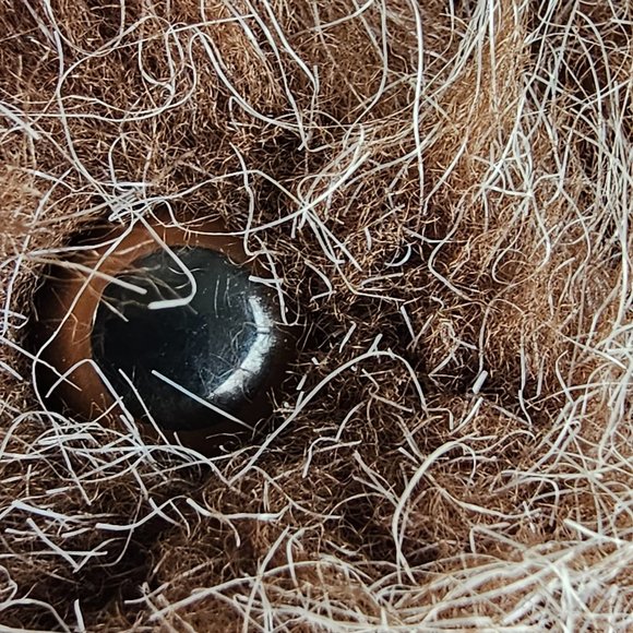 Hand Puppet Country Critters Inc Made in USA Plush Animal Beaver Gopher 12" - Picture 6 of 12